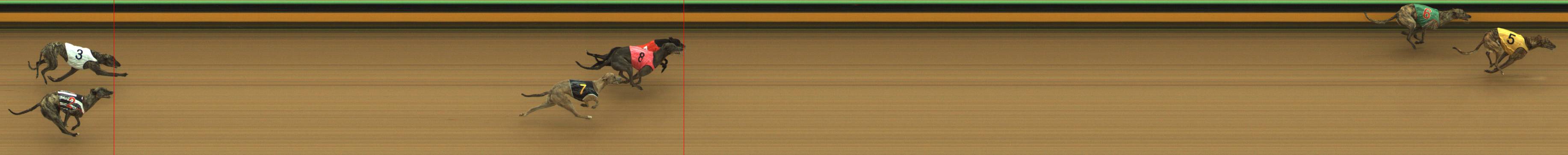 Race result finish photo